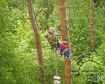 Кронирование и удаление деревьев